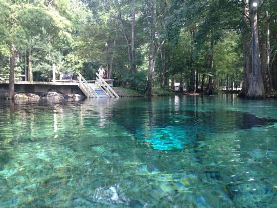 About Ginnie Springs Net Worth